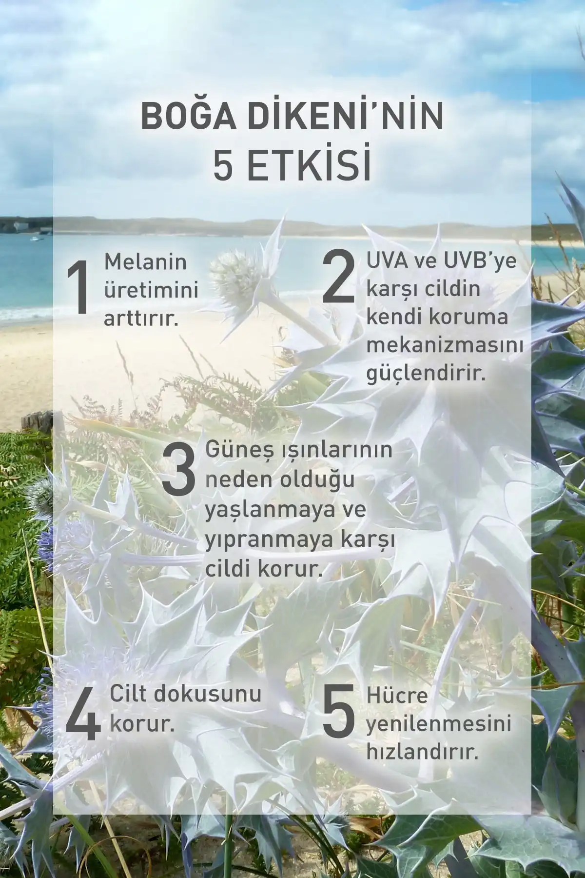 لوسیون پس از آفتاب 3 در 1/سولار پئو پارفایت-200 میلی لیتر برند   Yves Rocher(ایو روشه) به رنگ   در دسته ضد آفتاب